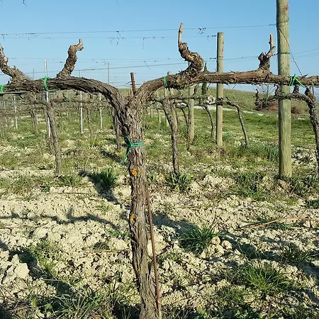 בית חווה Podere Casa Al Vento Montepulciano Stazione
