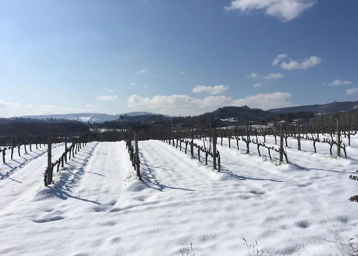 Podere Casa Al Vento Фермерский дом Монтепульчано
